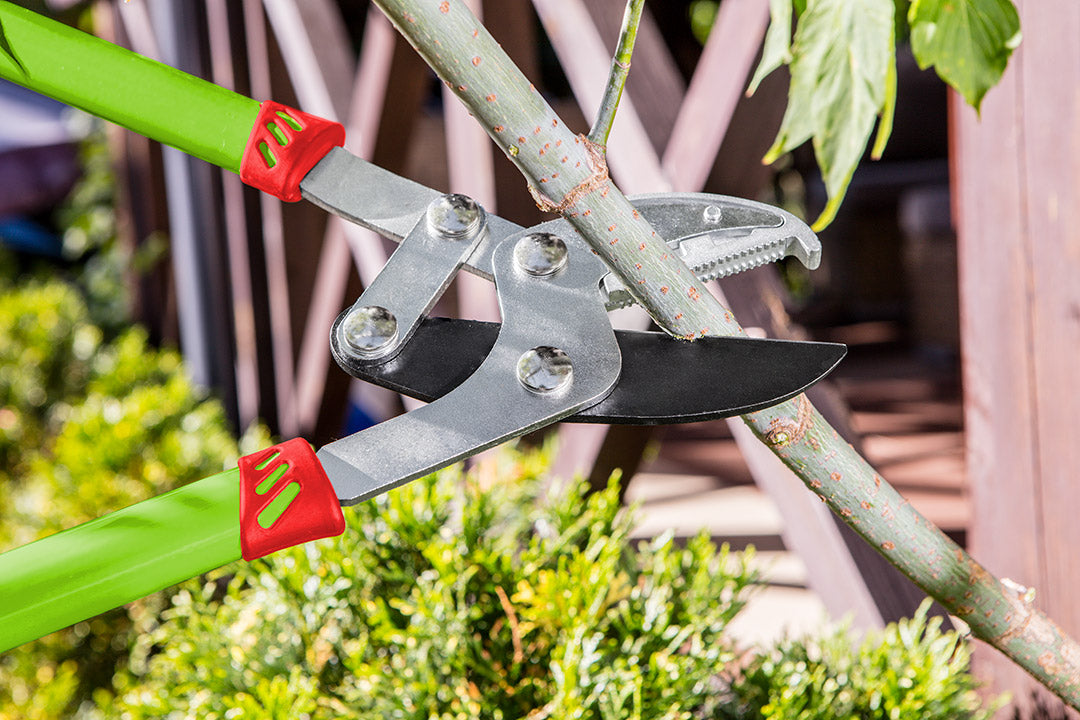 A kerttervezés legfontosabb kérdései