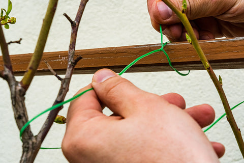 Kerti kötözőhuzal 1.5mm, 50m